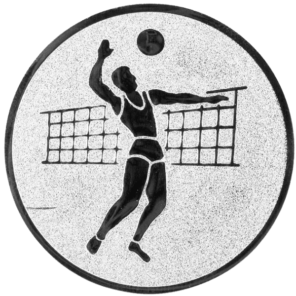 Emblemat Siatkówka srebrny | aluminium 25mm
