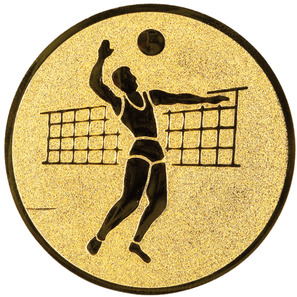 Emblemat Siatkówka złoty | aluminium 50mm