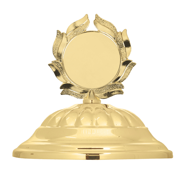 Pokrywa do trofeum złota