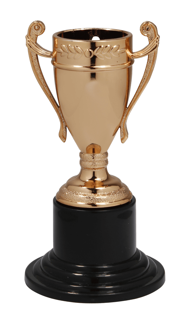 Medal Trophy brązowy | wysokość 105mm szerokość 50mm