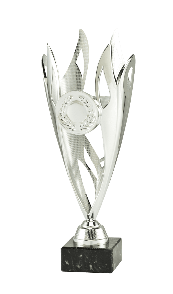 Trofeum Economy Srebrne I Wysokość 295 mm