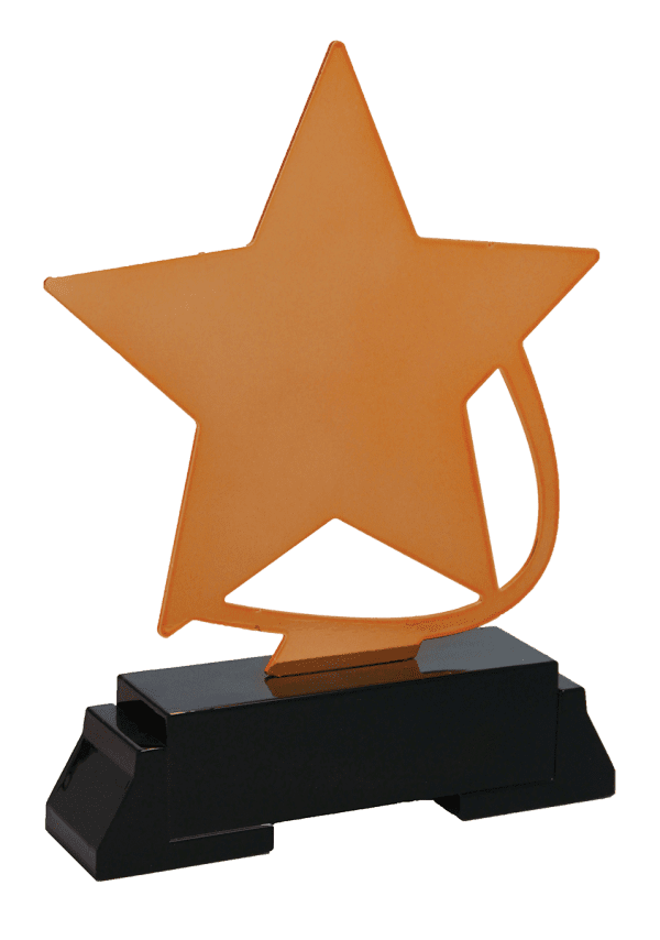 Trofeum Gwiazdowe Brązowe | wysokość 200mm