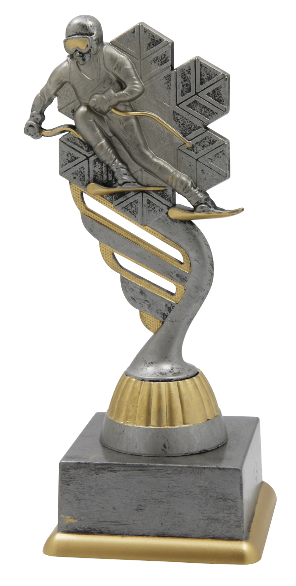 Trofeum Sportowe Narciarstwo Srebrne