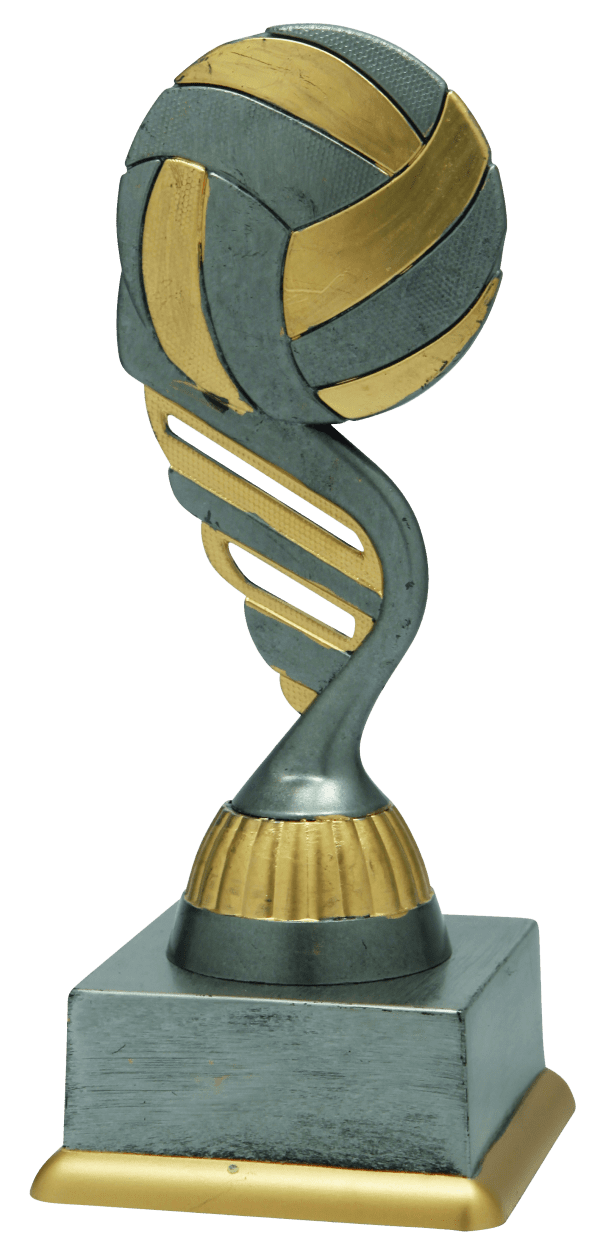 Trofeum Sportowe Siatkówka Srebrne