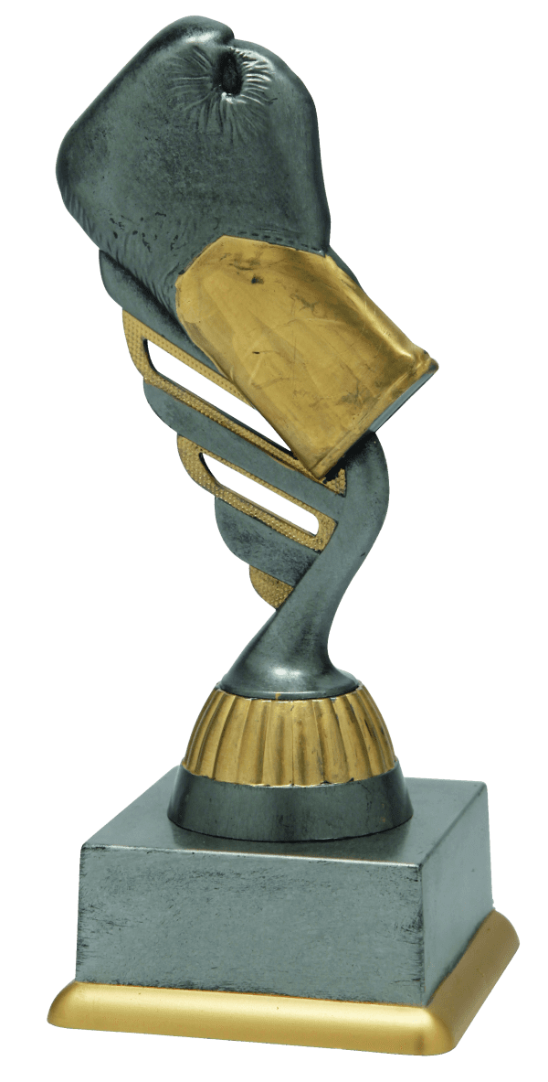 Trofeum Sportowe Boks Srebrne