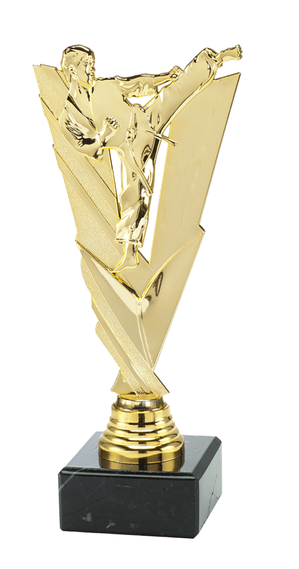 Trofeum Sportowe Karate Złote