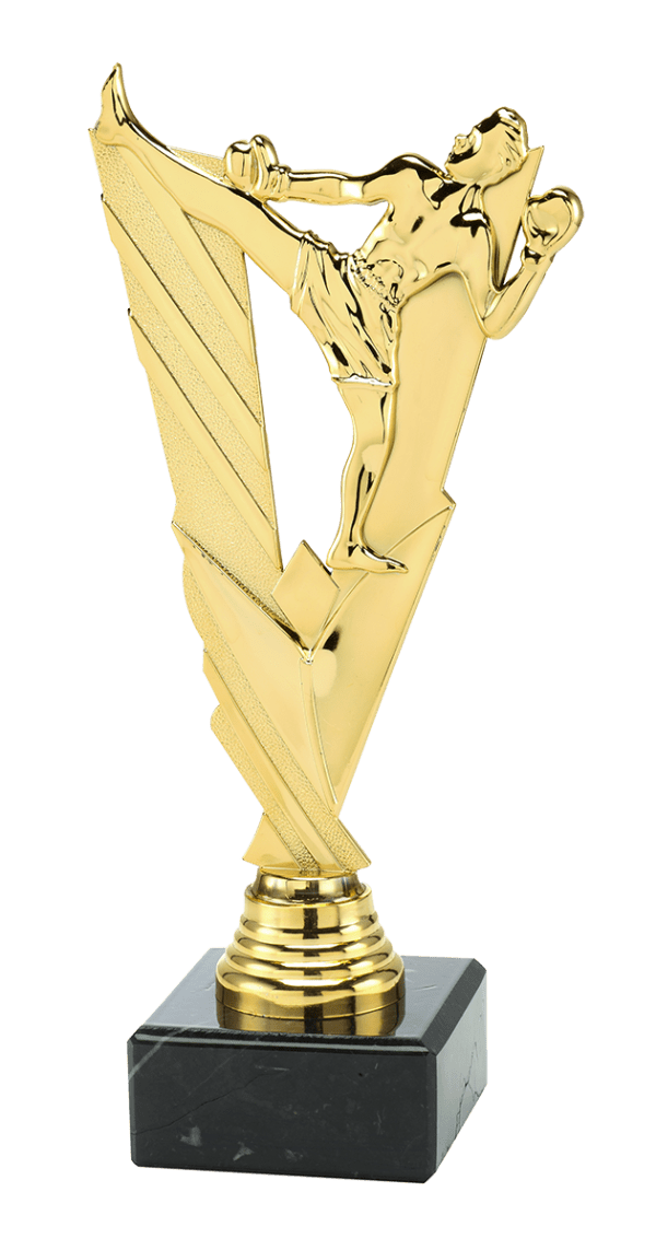 Trofeum Sportowe Boks Złote