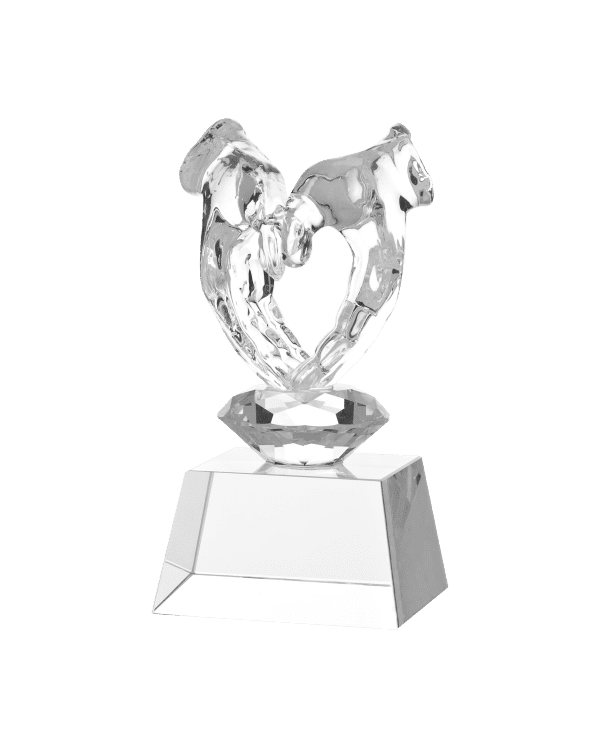 Szklane Trofeum w Pudełku | wysokość 135mm