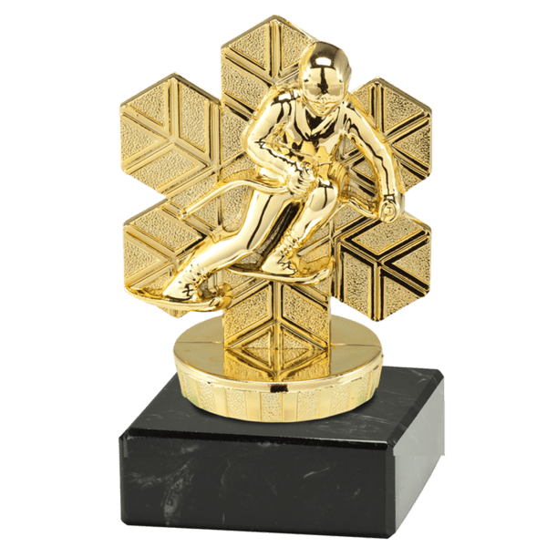 Trofeum Sportowe Narciarstwo Złote I Wysokość 100 mm