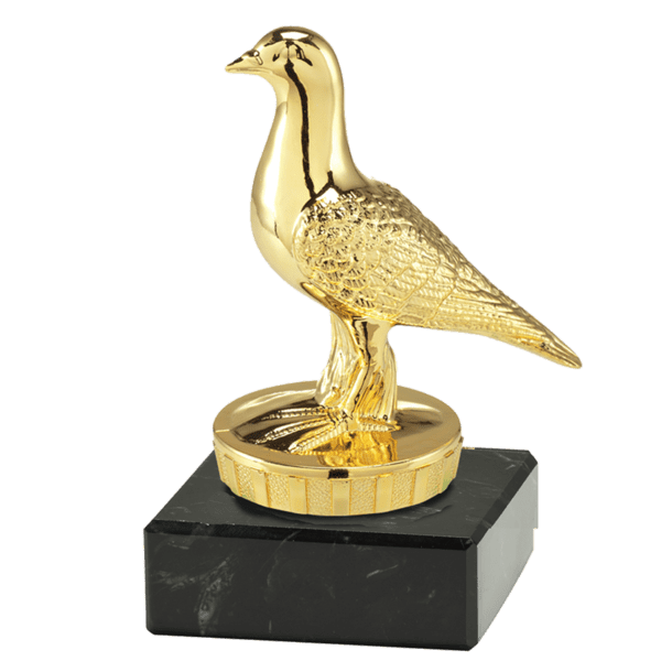 Trofeum Sportowe Gołębie Złote I Wysokość 100 mm
