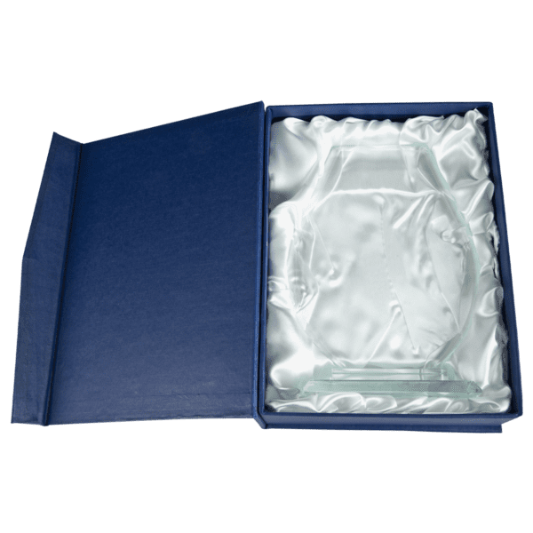 Szklane Trofeum Premium w Pudełku - obrazek 2