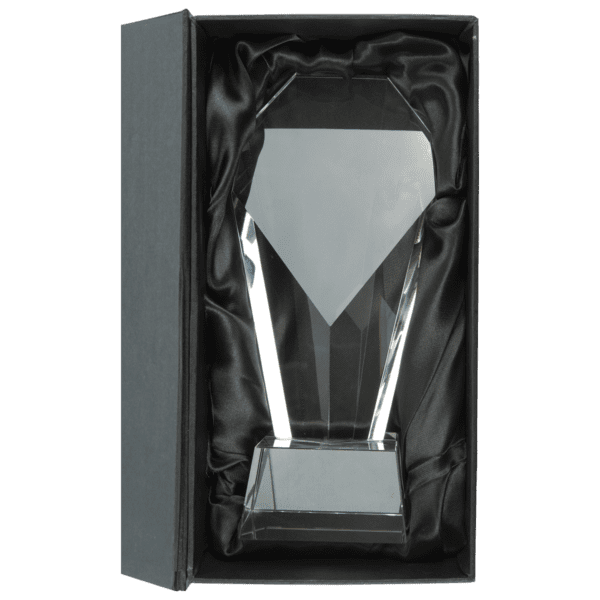 Szklane Trofeum Premium w Pudełku - obrazek 2